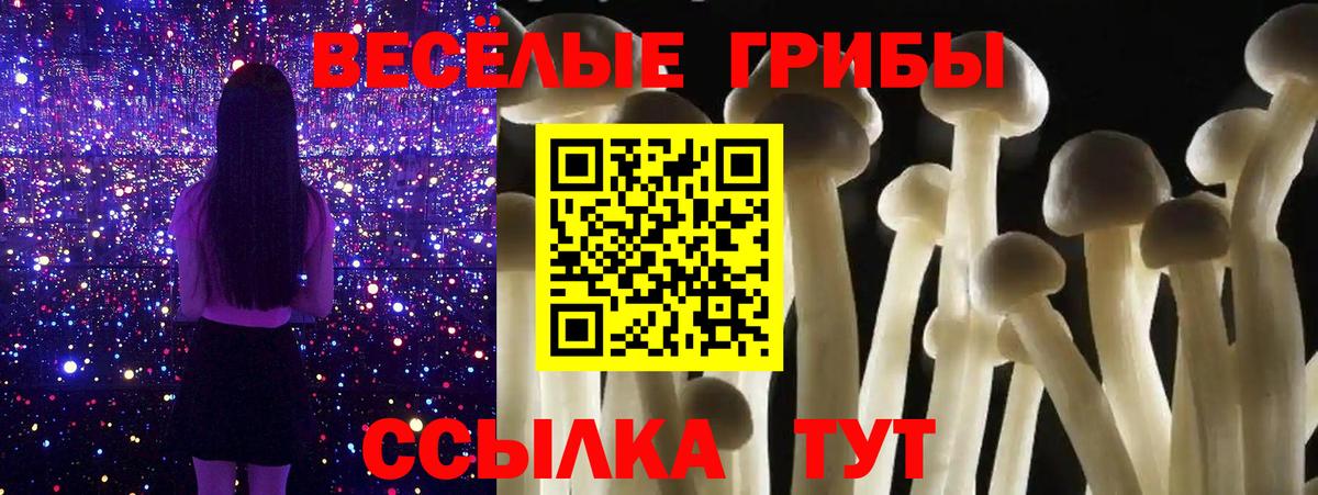 Ишимбай  Псилоцибиновые грибы GOLDEN TEACHER  Вход с VPN 