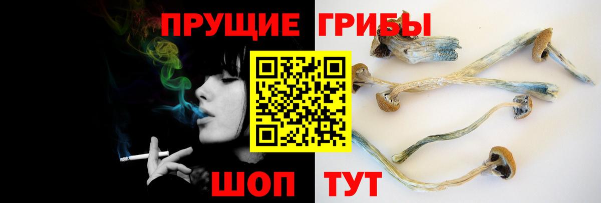 Псилоцибиновые грибы Psilocybine cubensis Ишимбай